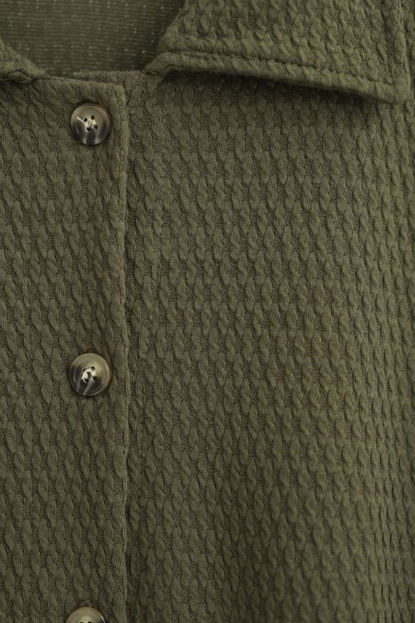 DERYN.OLIVE.3 DERYN.OLIVE.3